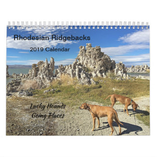 Rhodesian Ridgebackのカレンダー2019年の行く場所 カレンダー