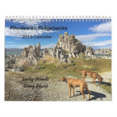 Rhodesian Ridgebackのカレンダー2019年の行く場所 カレンダー (カバー)