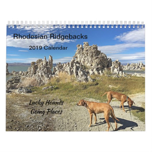 Rhodesian Ridgebackのカレンダー2019年の行く場所 カレンダー (カバー)