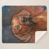 Rhodesian Ridgebackのポートレート シェルパブランケット (正面(横))