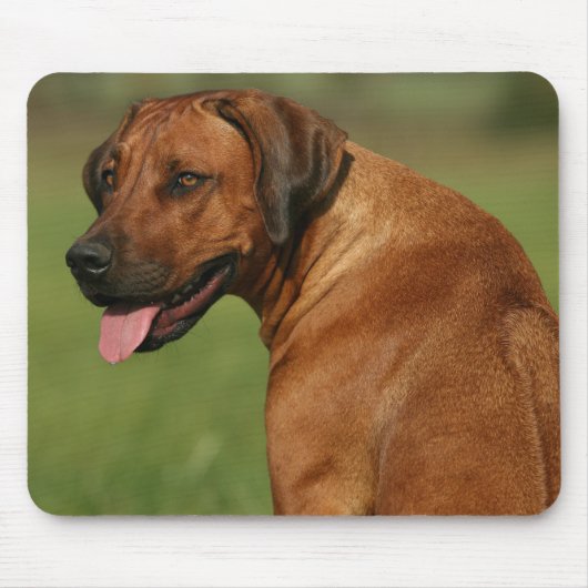 Rhodesian Ridgebackのマウスパッド マウスパッド (正面)