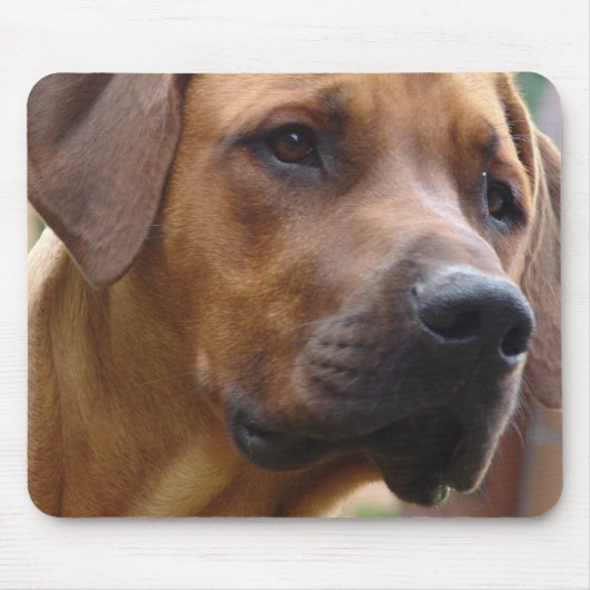 Rhodesian Ridgebackのマウスパッド マウスパッド (正面)