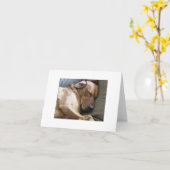 Rhodesian Ridgebackのラブラドール犬の組合せ カード (黄色い花)