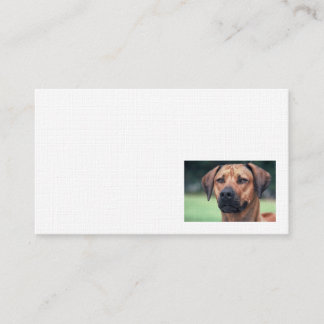 Rhodesian Ridgebackのリネン名刺 名刺