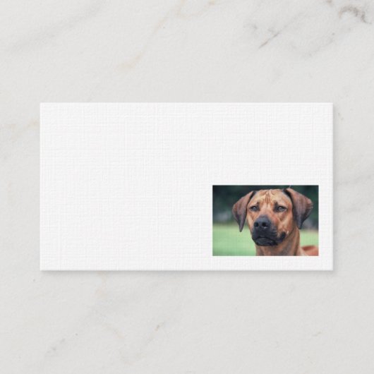 Rhodesian Ridgebackのリネン名刺 名刺 (正面)