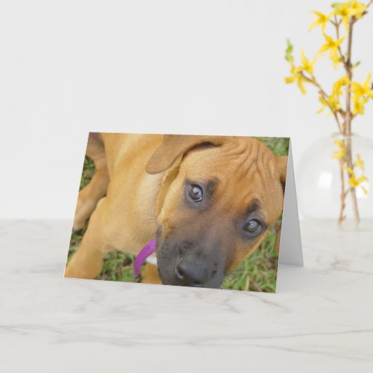 Rhodesian Ridgebackの子犬の挨拶状 カード (黄色い花)