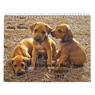 Rhodesian Ridgebackの子犬2012年 カレンダー
