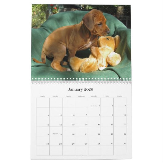 Rhodesian Ridgebackの子犬2012年 カレンダー (1月 2026)