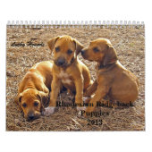 Rhodesian Ridgebackの子犬2013年 カレンダー (カバー)