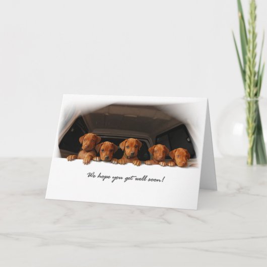 Rhodesian Ridgebackの挨拶状-すぐによく得て下さい カード (正面)