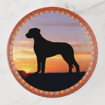 Rhodesian Ridgebackの日没のシルエット
