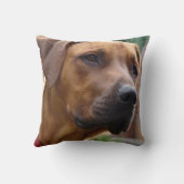 Rhodesian Ridgebackの枕 クッション (裏面)