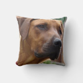 Rhodesian Ridgebackの枕 クッション (正面)