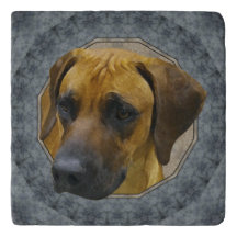 Rhodesian Ridgebackクラシカルな石造りのTrivet