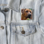 Rhodesian Ridgeback正方形Pin 缶バッジ (インサイチュ)