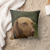 Rhodesian Ridgeback犬の枕 クッション (ブランケット)