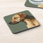 Rhodesian Ridgeback コースター (左側)