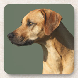 Rhodesian Ridgeback コースター