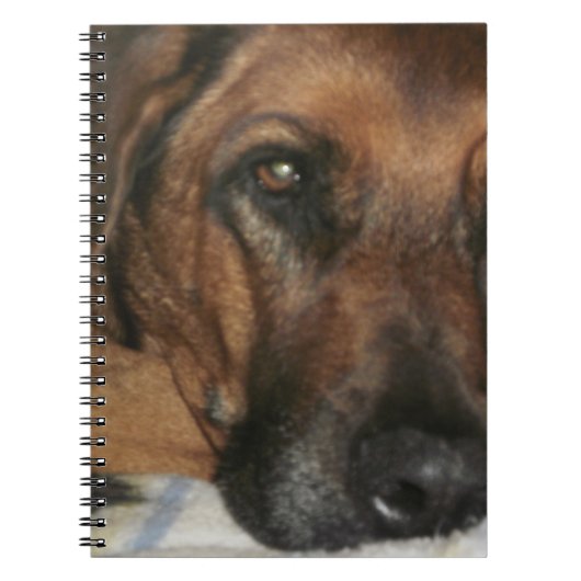 Rhodesian Ridgeback ノートブック (正面)