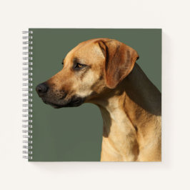 Rhodesian Ridgeback ノートブック