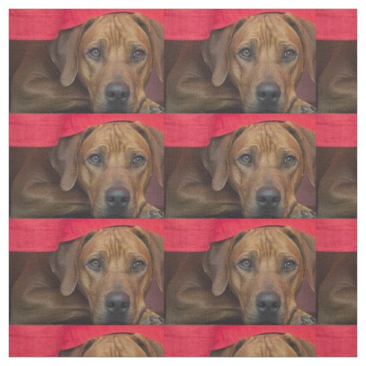 rhodesian-ridgeback ファブリック (見本)