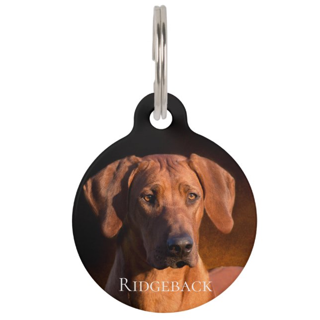 Rhodesian Ridgeback ペット　ネームタグ (正面)