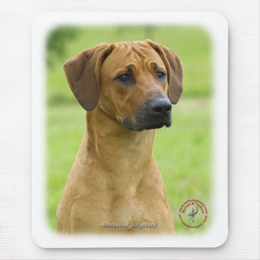 Rhodesian Ridgeback マウスパッド (正面)