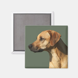 Rhodesian Ridgeback マグネット