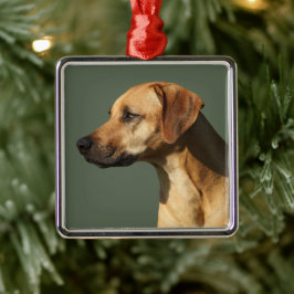 Rhodesian Ridgeback メタルオーナメント