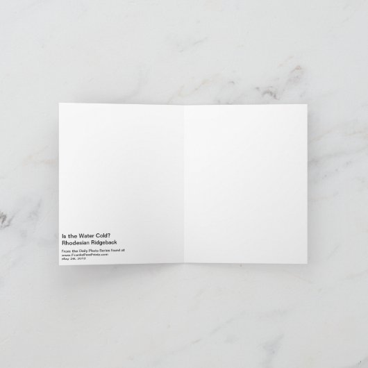 Rhodesian Ridgeback -水は冷たいですか。 カード (内部)