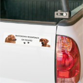 Rhodesian Ridgeback bumpersticker バンパーステッカー (トラック上)