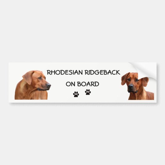 Rhodesian Ridgeback bumpersticker バンパーステッカー (正面)