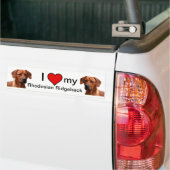 Rhodesian Ridgeback bumpersticker バンパーステッカー (トラック上)