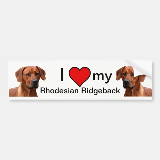 Rhodesian Ridgeback bumpersticker バンパーステッカー (正面)