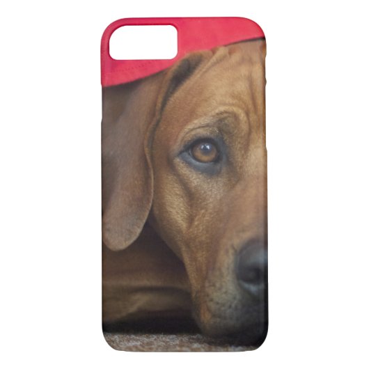 rhodesian-ridgeback Case-Mate iPhoneケース (裏面)