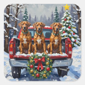 Rhodesian Ridgeback Christmas Red Truck Holiday スクエアシール (正面)