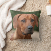 Rhodesian Ridgeback kussen クッション (ブランケット)