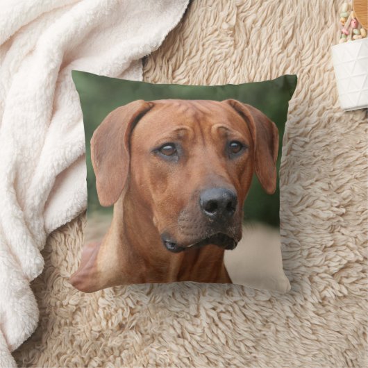 Rhodesian Ridgeback kussen クッション (ブランケット)