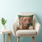 Rhodesian Ridgeback kussen クッション (椅子)