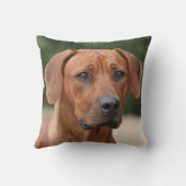 Rhodesian Ridgeback kussen クッション (裏面)