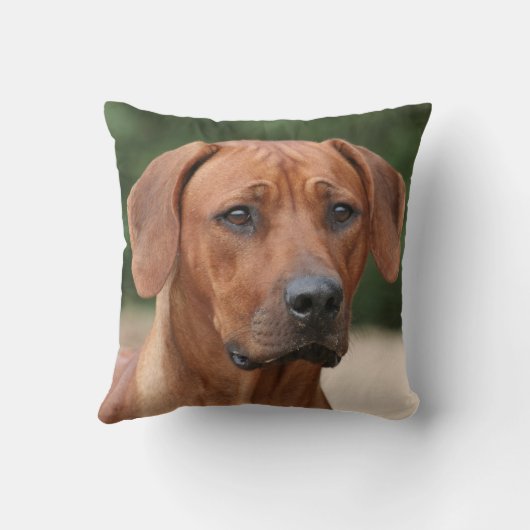 Rhodesian Ridgeback kussen クッション (裏面)