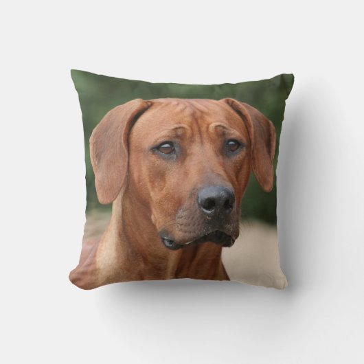 Rhodesian Ridgeback kussen クッション (正面)