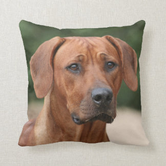 Rhodesian Ridgeback kussen クッション
