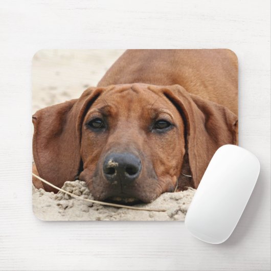 Rhodesian Ridgeback Muismat マウスパッド (マウス)
