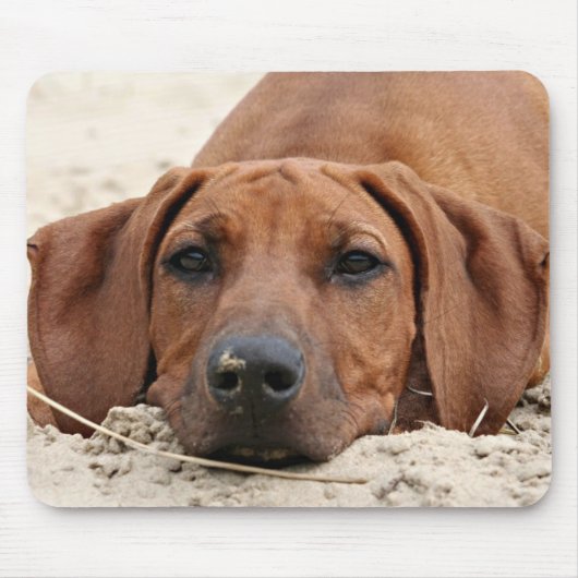 Rhodesian Ridgeback Muismat マウスパッド (正面)