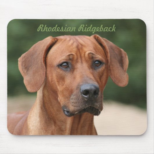 Rhodesian Ridgeback Muismat マウスパッド (正面)