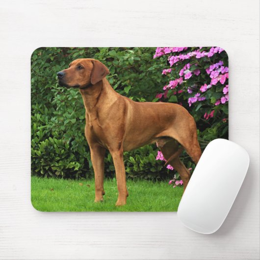 Rhodesian Ridgeback Muismat マウスパッド (マウス)