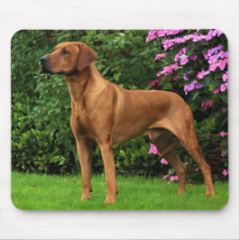 Rhodesian Ridgeback Muismat マウスパッド