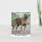 Rhodesian Ridgeback Notecards カード (正面)