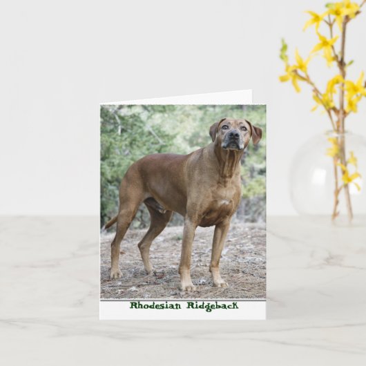 Rhodesian Ridgeback Notecards カード (黄色い花)